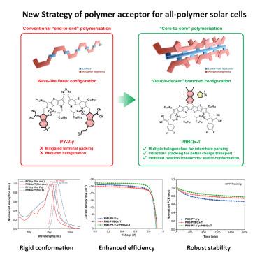 A polymer acceptor with double-decker configuration enhances molecular packing for high-performance all-polymer solar cells