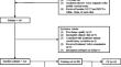 Radiomics model based on dual-energy CT can determine the source of thrombus in strokes with middle cerebral artery occlusion.