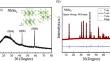 Anisotropy in Electronic and Magneto-Transport of 2D Superconductor NbSe2