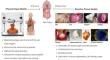 A Comprehensive Literature Review on Advancements and Challenges in 3D Bioprinting of Human Organs: Ear, Skin, and Bone