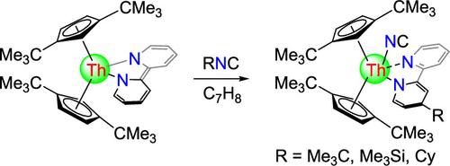 Intrinsic Reactivity of [η5-1,3-(Me3C)2C5H3]2Th(bipy) toward Small Molecules