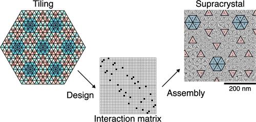 Symmetry-Guided Inverse Design of Self-Assembling Multiscale DNA Origami Tilings.