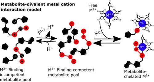 A Divalent Metal Cation–Metabolite Interaction Model Reveals Cation Buffering and Speciation