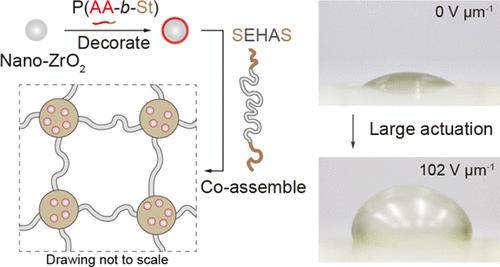 Confining Nano-ZrO2 in Nanodomains Leads to Electroactive Artificial Muscle with Large Deformation