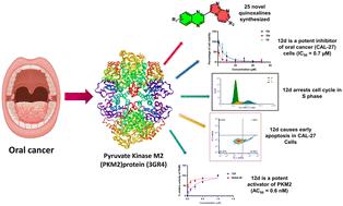 Targeted suppression of oral squamous cell carcinoma by pyrimidine-tethered quinoxaline derivatives†