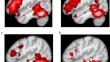 Constraining current neuroanatomical models of reading: the view from Arabic.