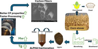 Carbon fibers derived from environmentally benign, ethanol-fractionated corn-stover lignin†