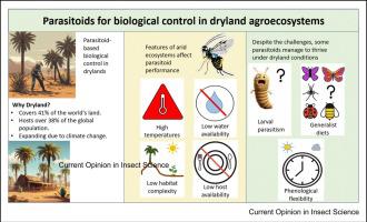 Parasitoids for biological control in dryland agroecosystems