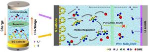 An organometallic salt as the electrolyte additive to regulate lithium polysulfide redox and stabilize lithium anodes for robust lithium-sulfur batteries