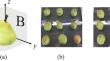 Pears classification by identifying internal defects based on X-ray images and neural networks