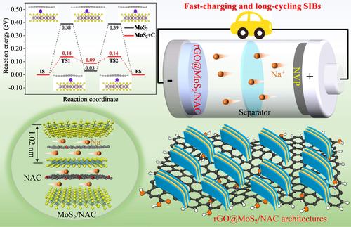 Amorphous carbon intercalated MoS2 nanosheets embedded on reduced graphene oxide for excellent high-rate and ultralong cycling sodium storage