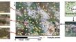 Multifractal parameters reveal the impacts of shrub encroachment on soil particle size distribution (PSD) in a coastal wetland of the Yellow River Delta