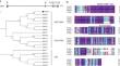 Overexpression of the MiAGL1 gene from mango promoted flowering in transgenic Arabidopsis