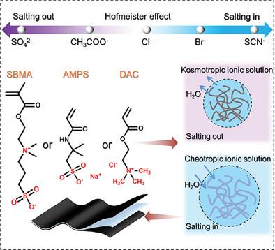 Anionic Hofmeister Effect Regulated Conductivity in Polyelectrolyte Hydrogels for High-Performance Supercapacitor.