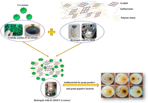 Investigation of antibacterial properties and sustained release of Centella Asiatica extract from Fe-MOF-reinforced gelatin-based hydrogels