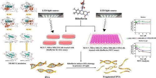 Riboflavin-Induced DNA Damage and Anticancer Activity in Breast Cancer Cells under Visible Light: A TD-DFT and <i>In Vitro</i> Study.