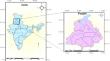 Wheat Growth and Yield in the Rice -Wheat Cropping System: Impact of Crop Establishment Techniques, Sowing Schedule and Nitrogen Management