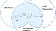 Iron porphyrin-mediated production of carbon monoxide from phenylpyruvic acid: from potential therapeutic and diagnostic use to physiological implications