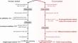 Dispel some mist on circulating biopterins: measurement, physiological interval and pathophysiological implication.