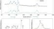 Advancing holocellulose content prediction in Chinese fir via transfer learning and Raman integration