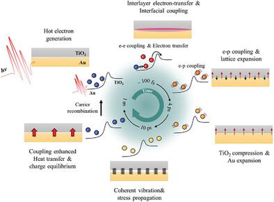 Ultrafast Interfacial Charge Transfer Initiates Mechanical Stress and Heat Transport at the Au-TiO2 Interface