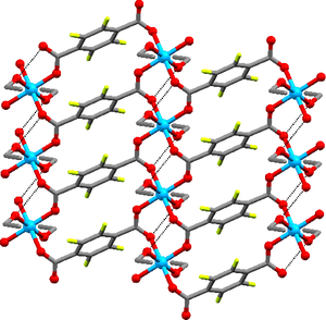 Crystal Structures of Metal-Organic Frameworks Based on Magnesium Cations and Isomeric Tetrafluorobenzenedicarboxylate Ligands