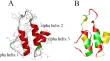 Conjugation with the Carrier Helped to Reveal acidification-Induced Structural Shift in the Peptide from Phospholipase Domain of Parvovirus B19.