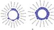 Identification of Immunodominant Epitopes of Dengue Virus 2 Envelope and NS1 Proteins: Evaluating the Diagnostic Potential of a Synthetic Peptide.