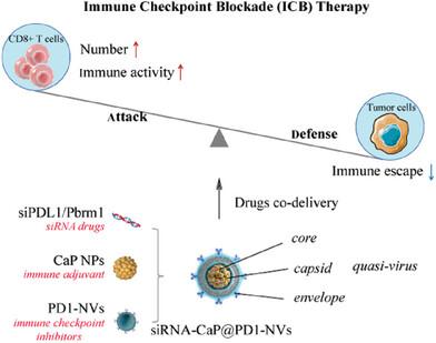 Multifunctional Biomimetic Nanocarriers for Dual-Targeted Immuno-Gene Therapy Against Hepatocellular Carcinoma