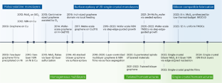 Understanding epitaxial growth of two-dimensional materials and their homostructures