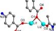 Synthesis of two Fluorescent Complexes and Their use as Multifunctional Nanomedicine Carriers for Rhabdomyosarcoma Treatment.