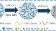 Preparation and Properties of Environmentally Adaptable Polyacrylamide/Polyvinyl Alcohol Semi-Interpenetrating Highly Conductive Ion-Conducting Hydrogel