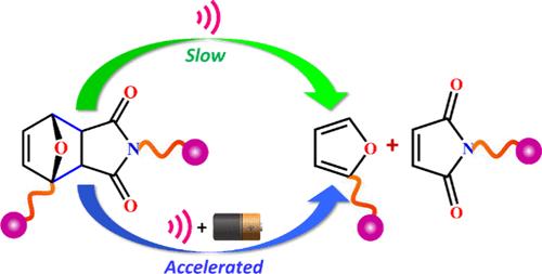 Oriented External Electric Field Controls the Rupture Forces in Mechanophores
