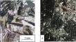 Finite Element Simualtion of Heat Generation in the Brake Unit of Heavy-Duty Tribosystems