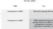 A Qualitative Investigation of Characteristics Impacting Clinical Decision-Making in Integrated Behavioral Health Care.