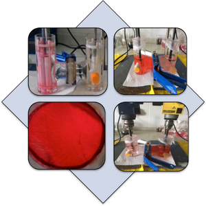 Adsorption and transport of acid dye through polymer inclusion membrane with Aliquat 336 and TBP