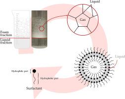 Foams based on biosurfactant mixtures. Part II. Influence of mixture composition on foam stability