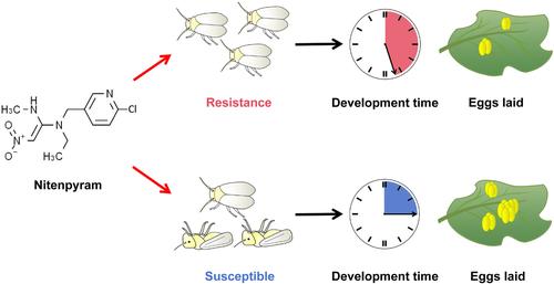 Field-evolved resistance to nitenpyram is associated with fitness costs in whitefly.