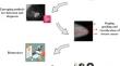 An Extensive Review on Emerging Advancements in Thermography and Convolutional Neural Networks for Breast Cancer Detection