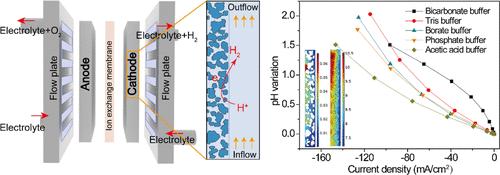 Computational Model of Two-Phase Mass Transport Dynamics for pH-Buffered Hydrogen Evolution Reactions in Porous Electrodes