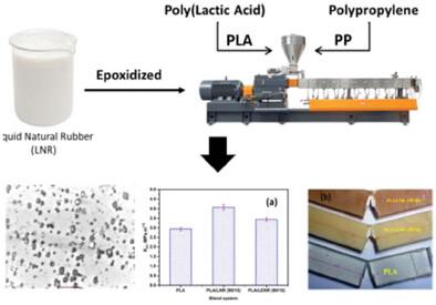 A Comparative Study of Impact Fracture Toughness of Epoxidized Poly(1, 4 Cis-Isoprene) Compatibilized PLA Binary and Ternary Blends