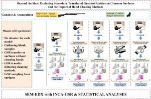 Beyond the shot: Exploring secondary transfer of gunshot residue on common surfaces and the impact of hand cleaning methods