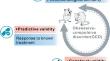 Neurobiology of Obsessive-Compulsive Disorder from Genes to Circuits: Insights from Animal Models.