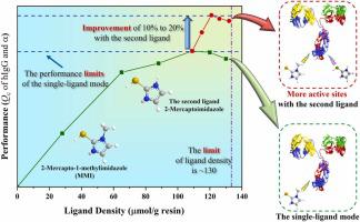 Enhancing the performance limits of hydrophobic charge-induction chromatography with the introduction of a second ligand