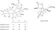 Exploring the multifaceted role of ginkgolides and bilobalide from Ginkgo biloba in mitigating metabolic disorders