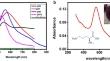 Ornithine-stabilised gold nanoflowers for label-free sensitive detection of Hg2+ via amalgamation