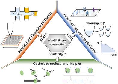 Recent Innovations and Technical Advances in High-Throughput Parallel Single-Cell Whole-Genome Sequencing Methods.