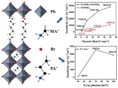 PA2PbBr4/MAPbBr3 Heterojunction X-Ray Detector with Enhanced Sensitivity and Excellent Self-Powered Functionality