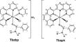 Thiobenzamide-based ruthenium complexes: chemical reactivity and promising biological investigations against Leukemia cancer cells