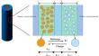 Numerical Study on Thermal Runaway of LFP batteries Triggered by Low Temperature Heating